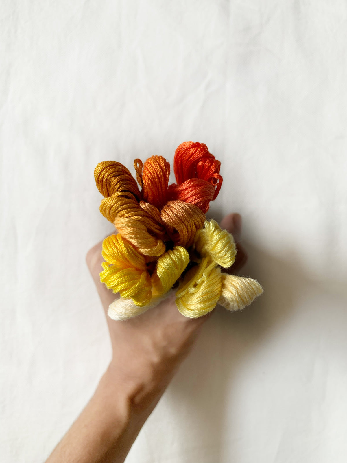 Sunshine Palette (Set of 14)