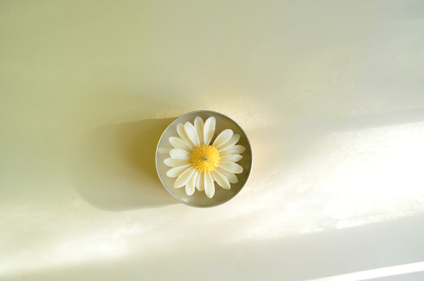 Daisy Dreams Tin Candle
