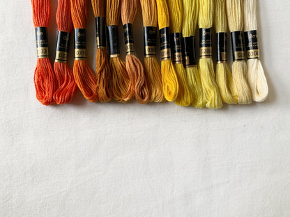 Sunshine Palette (Set of 14)